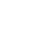 CI_iconReverse