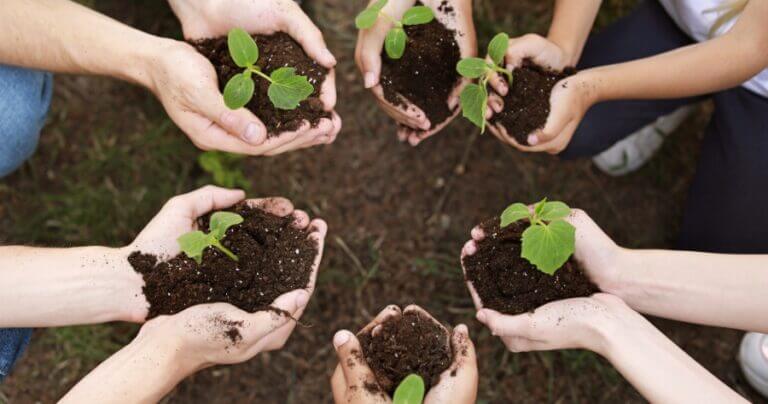 6 people holding plants in their hands